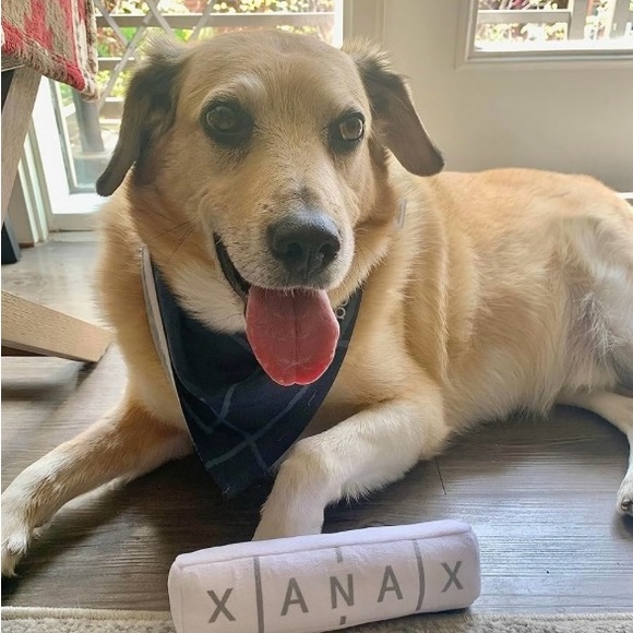 🐶”Chill” Funny/Parody Dog Toy🐶 - Picture 3 of 11